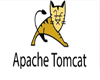 
tomcat下载
